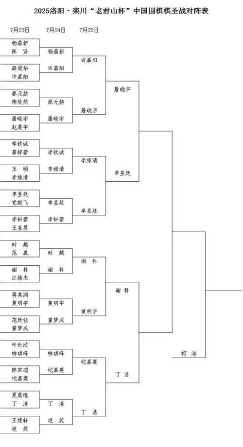 围棋棋圣战八强名单揭晓 围棋棋圣战八强名单揭晓